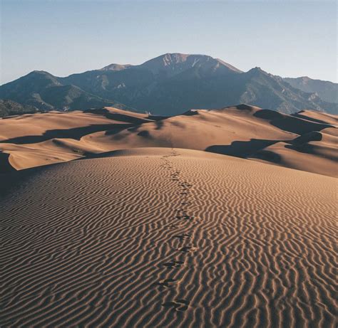 footprints on desert towards mountain photo – Free Kelso dunes Image on ...