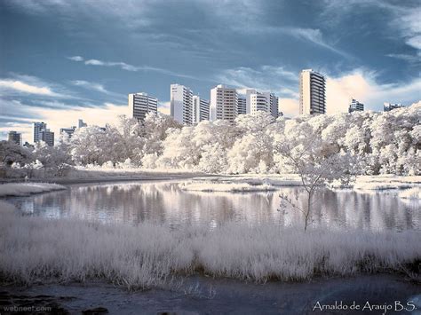 Infrared Photography 17