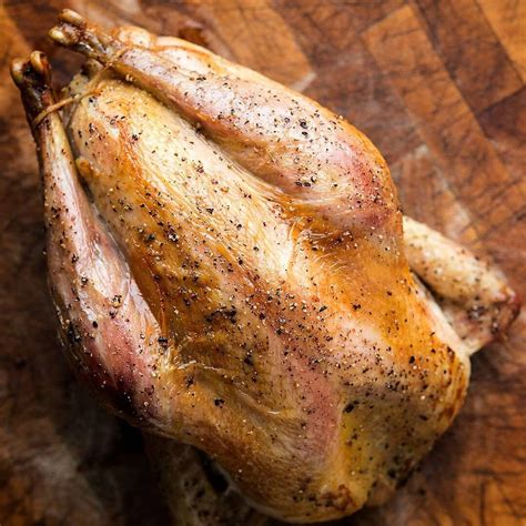 Roast Pheasant Recipe Recipe | Recipes.net