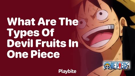 What are the types of Devil Fruits in One Piece? - Playbite