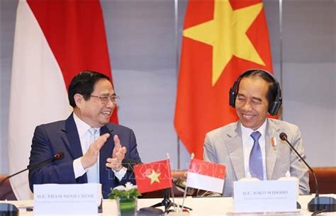 Vietnam, Indonesia eye stronger economic, trade ties