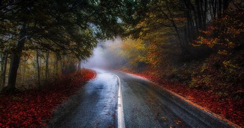 colorful road in fall 4k ultra hd wallpaper | Landscape, Nature photography, Android wallpaper