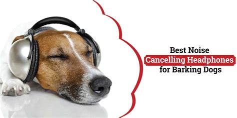 5 Best Noise Cancelling Headphones for Barking Dogs | Review 2021 - Dogcattalk