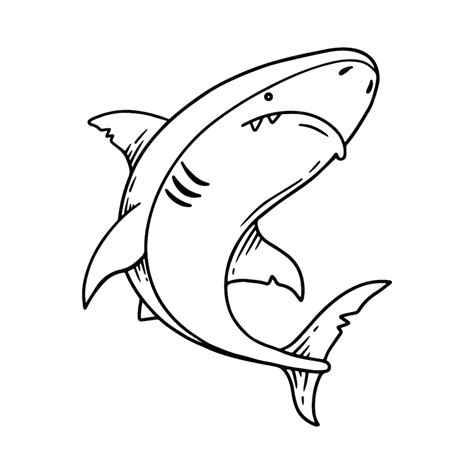 Free Vector | Hand drawn shark outline