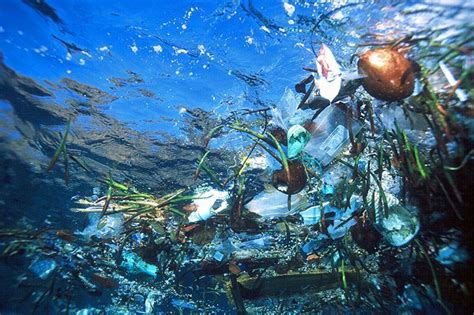 España es el segundo país que más plástico vierte al mar:...