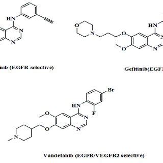 Structures of EGFR tyrosine kinase inhibitors | Download Scientific Diagram