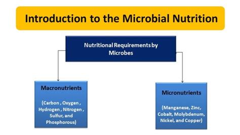 Introduction to the Microbial Nutrition - Microbiology Notes