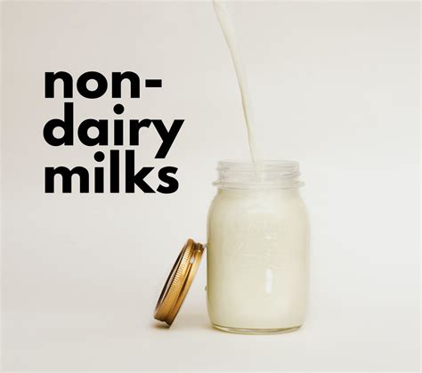 10 Different Types of Non-Dairy Milk (With Recipes) - Delishably