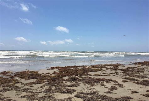 12 Spectacular Beaches to Visit in Brownsville, Texas | TouristSecrets