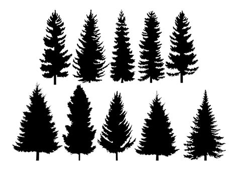 Pine Tree Silhouette Bundle of 10 SVG and Pngtransparent - Etsy Norway