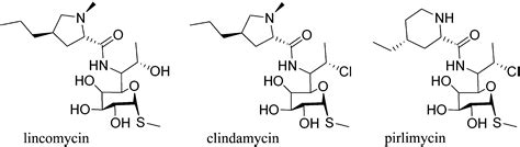 Structure and Mechanism of the Lincosamide Antibiotic Adenylyltransferase LinB: Structure