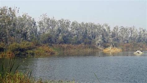 2021年 Yamuna Biodiversity Park - 行く前に！見どころをチェック - トリップアドバイザー