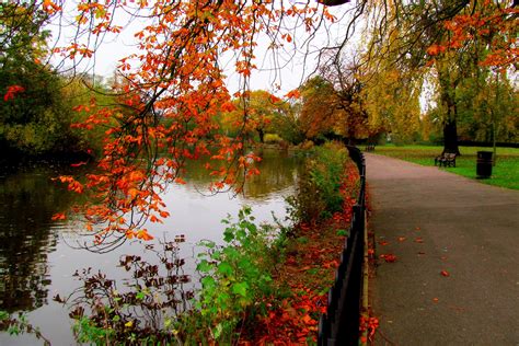 autumn, Nature, Trees, Walk, River, Park, Hdr, Leaves, Alley, Forest Wallpapers HD / Desktop and ...