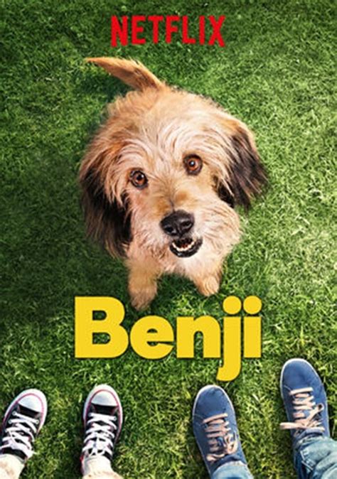 Benji (2018) - Posters — The Movie Database (TMDB)