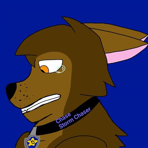 Sad Chase. | Paw Patrol Creations Amino Amino