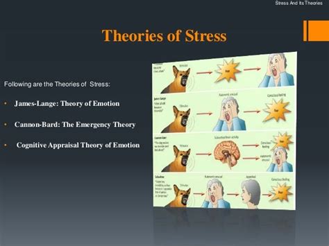 Stress and theories of stress