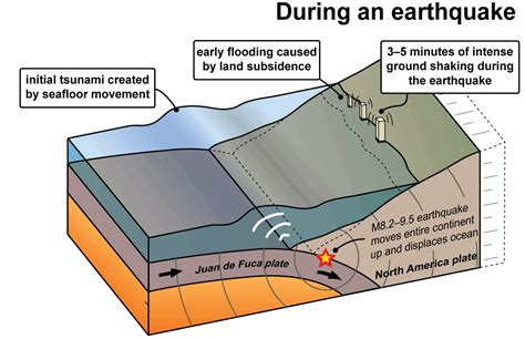 A Diagram Of A Tsunami