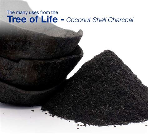 The many uses from the Tree of Life – Coconut Shell Charcoal - KARA