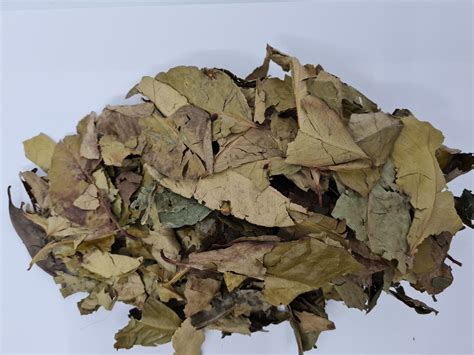 Indonesian Bay leaves (Syzygium polyanthum) Dried - Daun Salam Kering - Toko Indonesia