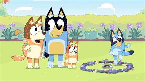 Bluey : ABC iview