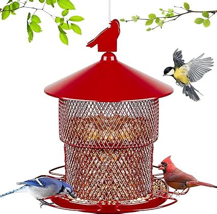 Amazon.com : Bird Feeders Squirrel Proof for Outside Hanging, Weatherproof Cardinal Bird Feeder ...