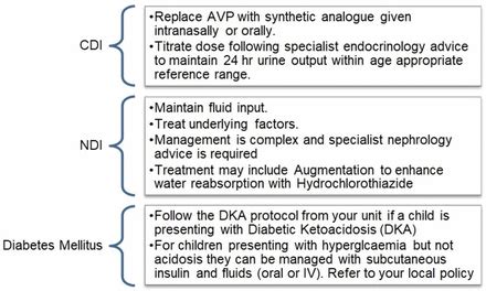 Fifteen-minute consultation: Polydipsia, polyuria or both | ADC ...