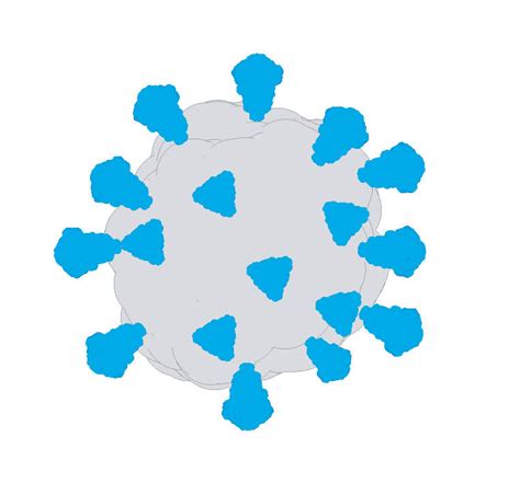 Overview of lentivirus vector design. (A) Schematic representation of... | Download Scientific ...