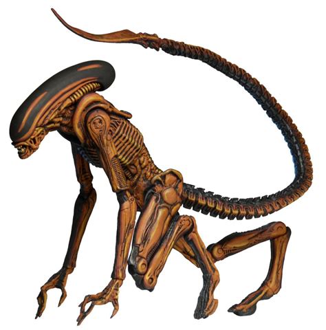 Alien 3 - dog Alien by Universal Pictures from NECA | Trampt Library