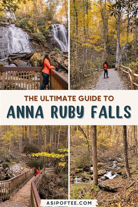 Explore the Anna Ruby Falls Trail in Georgia - A Sip of Tee