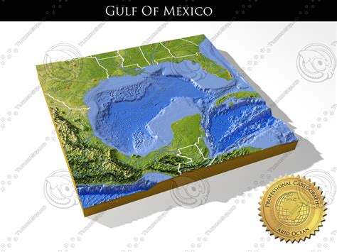 3d relief gulf mexico topography