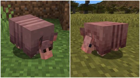 Minecraft players discuss new upcoming armadillo texture