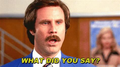 Ron Burgundy GIF - Anchorman RonBurgundy WhatDidYouSay - Discover ...