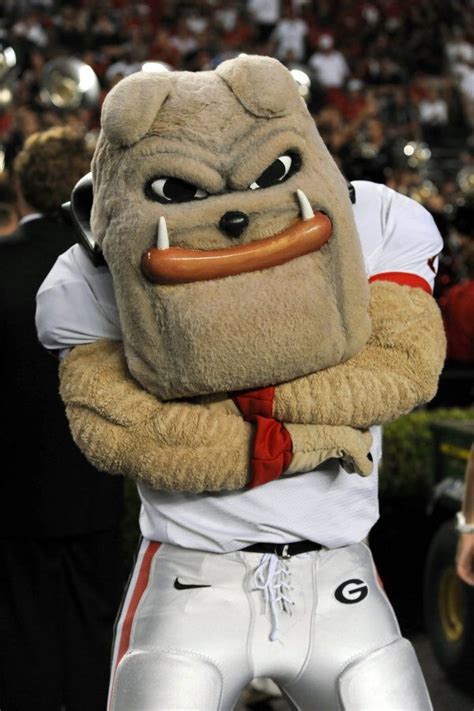 Georgia vs. South Carolina | Georgia bulldog mascot, Georgia bulldogs ...