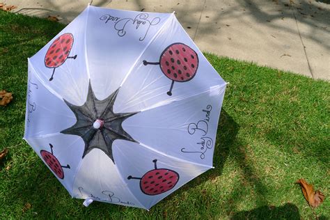 lady bird parasol Umbrella Corporation, Brollies, Beautiful Bugs, Lady Bird, Some People ...