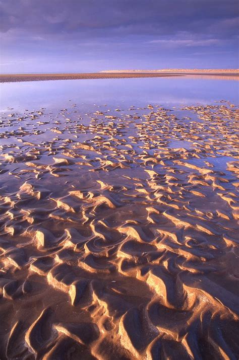 Dornoch Local - Beaches