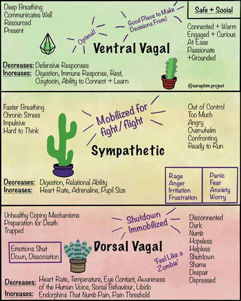 Polyvagal Theory, Nervous System States Reference Sheet, Therapy ...