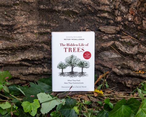 The Hidden Life of Trees Adult Book - Voice For The Trees