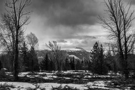 Black and White Landscape Image of a Winter View of the Mountains in ...