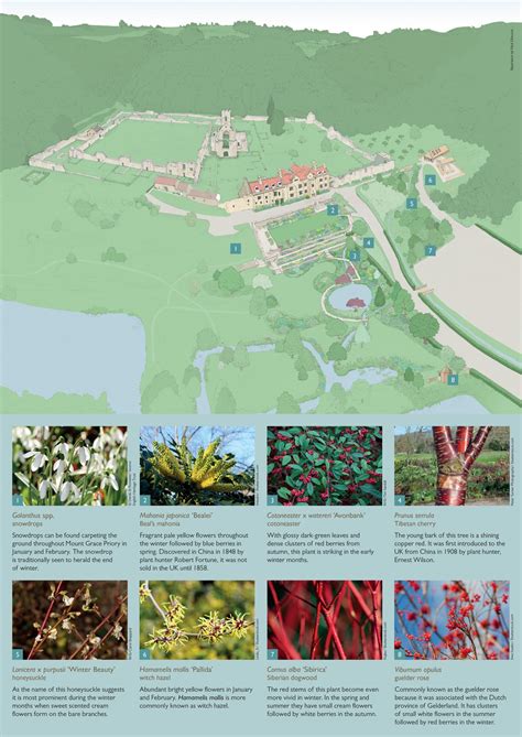 Nick Ellwood | Illustrated map for Mount Grace Priory House & Gardens