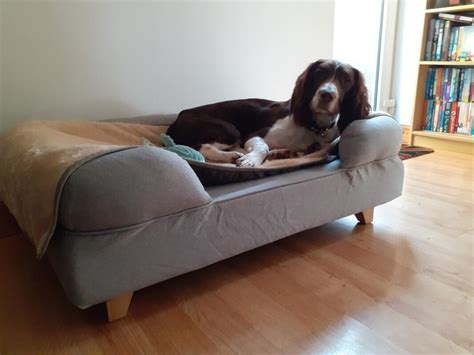 Omlet | Memory Foam Bolster Dog Beds