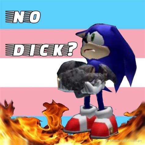 Trans Flag, Sonic, Ironic, Transgender Ftm, Lgbtq Flags, Random, Lgbtqia, Queer, Dumb And Dumber