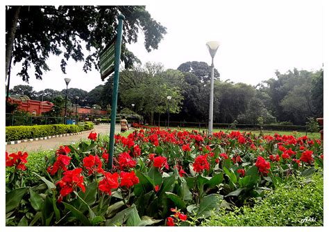 Anki On The Move: Lalbagh Botanical Garden Part 2:Photos,Review Videos