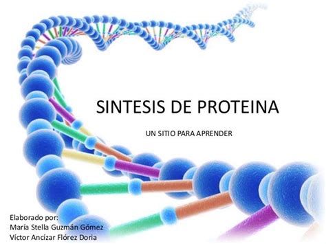 Sintesis de proteina