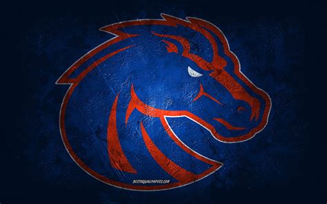 1920x1080px, 1080P free download | Boise State Broncos, American ...