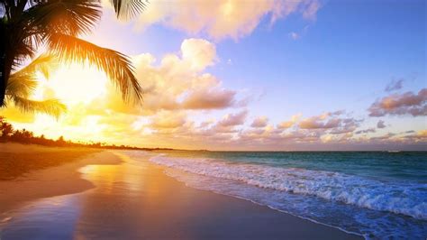 Tropical beach sunrise - backiee