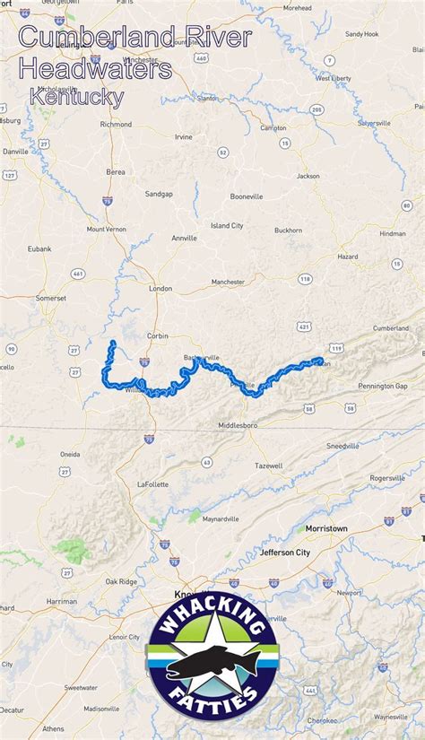 Cumberland River Headwaters, Kentucky fly fishing report. Check out Whacking Fatties for the ...