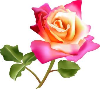 Pink Rose Flower clip art