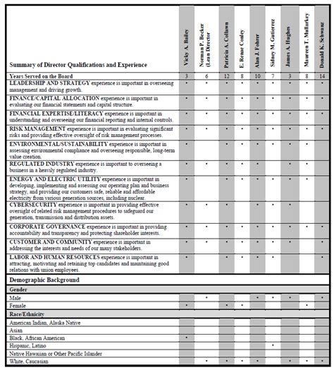 Board Skills Matrix Template