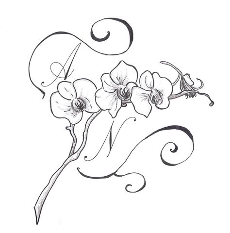 gousicteco: Orchid Line Art Images