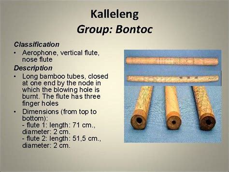 a long bamboo nose flute among the bontocs - Brainly.ph